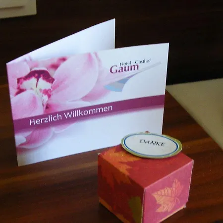 Отель Gaum Biberach-Ummendorf